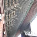 2008夏-東本願寺的鐵皮屋 - 3