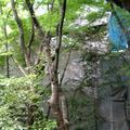 2008夏-東本願寺的鐵皮屋 - 10