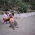 ~2006~ 台南南化彌猴山