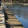 景福宮內的河面上結冰了！