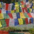 祈福 2010 (Lumbini)