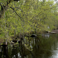 Concord River