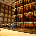 珍品書圖書館