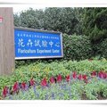 台北花卉試驗中心滿園茶花已開、未開、正開...