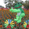 2010年國際花博會開始暖身囉^^