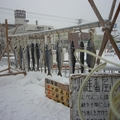 北海道的雪in網走湖畔 - 10