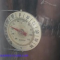 多倫多今年（2009）最冷的一天 - 8