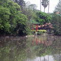 2011植物園004