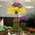 台北花卉展027