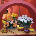 20120125台北花卉展003