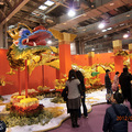 20120125台北花卉展004