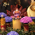 20120125台北花卉展019
