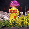 20120125台北花卉展023