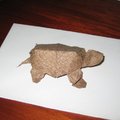 折紙烏龜