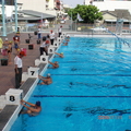 2009全國成人游泳比賽會8