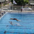 2009全國成人游泳比賽會7