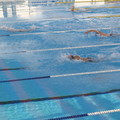 2009全國成人游泳比賽會2