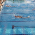 2009全國成人游泳比賽會1