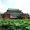 微笑彩俑、史博館、植物園 - 5