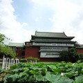 微笑彩俑、史博館、植物園 - 6