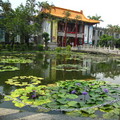 微笑彩俑、史博館、植物園 - 1