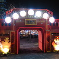2010台北燈節 - 6
