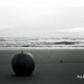 黑白拍 - 蘋果