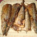 乾煎秋刀魚