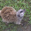 2009.4.14 泉與如子 動物園之遊 - 2