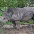 2009.4.14 泉與如子 動物園之遊 - 3