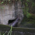 2009.4.14 泉與如子 動物園之遊 - 1