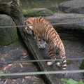 2009.4.14 泉與如子 動物園之遊 - 2