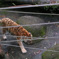 2009.4.14 泉與如子 動物園之遊 - 4