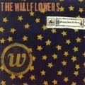 The Wallflowers【Bringing Down The Horse】1996