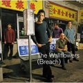The Wallflowers【( Breach )】2000