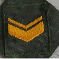 軍屋軍用品店-舊式綠領章-下士