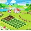 facebook-開心農場
