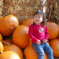 Pumpkin Patch - 1