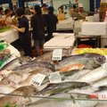 澳洲最大的魚市，裡面有著許多肥美的魚貨，市場裡並不如想像中地板濕滑以及刺鼻的魚腥味，這兒除了生鮮魚貨也提供熟食販售．
