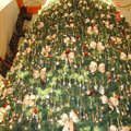 維多利亞購物廣場內的一顆三層樓高的聖誕樹．
仔細看，上面掛的可是施華洛士奇的大顆水晶呢～
