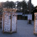 2008.4/19~4/23北海道之旅 - 3