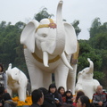 佛館前的大象