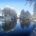 雪景