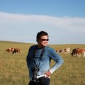 內蒙古遊 - 草原的牛群