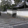 2010 京都奈良 - 5