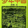 少年中國, 1980.7, 遠景叢刊 163, 184頁. 蔣勳