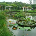 美麗的植物園池景