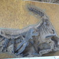 恐龍國家保護區(Dinosaur National Monument)佔地極廣闊，橫跨猶他與科羅拉多兩個州，因為挖出大量的恐龍化石而成為保護區。