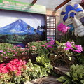 2010台北國際花卉博覽會 - 3