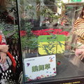 2010台北國際花卉博覽會 - 4